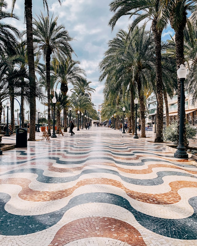 Agente Digitalizador Alicante