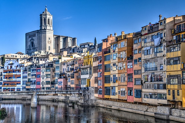 Agente Digitalizador Girona