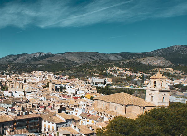 Agente Digitalizador Murcia