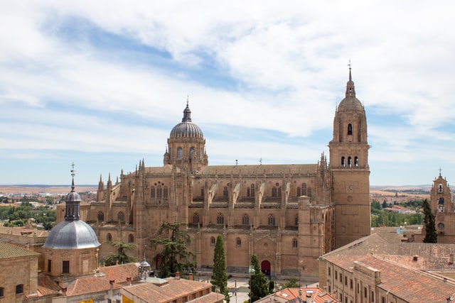 Agente Digitalizador Salamanca